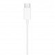 M8JEP20T - HF Budi Earphone EP20T, Type-C connector