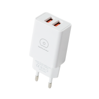 WUW Charger Set Dual USB/3.1A Micro T55 / Адаптери + №7471