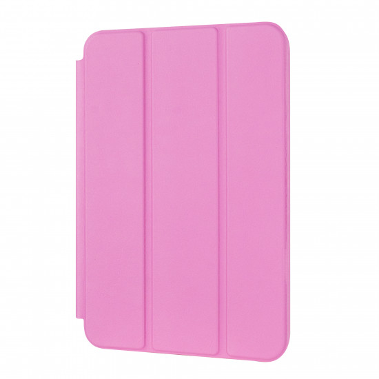 Smart Case iPad Mini 8.3